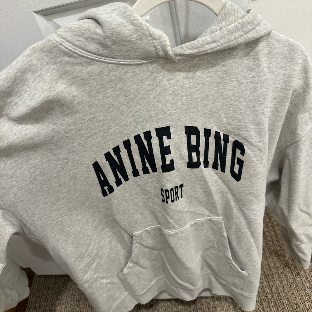 Anine Bing oversized sweatshirt, hardly worn size small